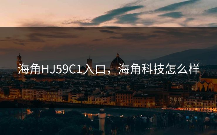 海角HJ59C1入口，海角科技怎么样