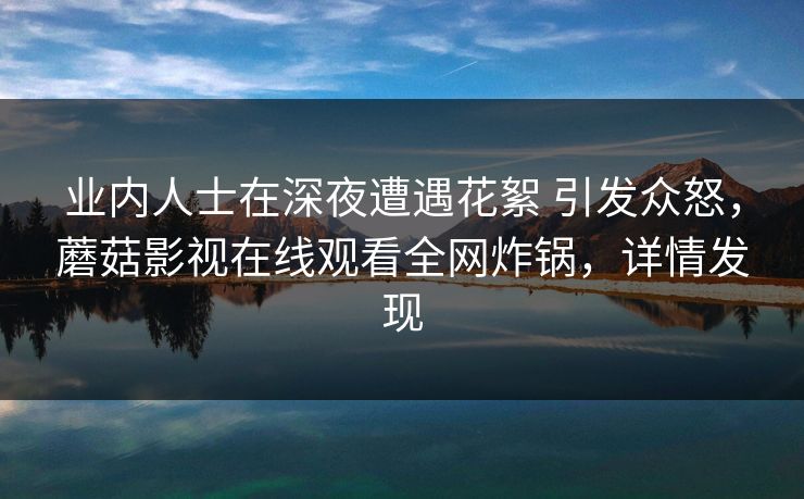 业内人士在深夜遭遇花絮 引发众怒，蘑菇影视在线观看全网炸锅，详情发现